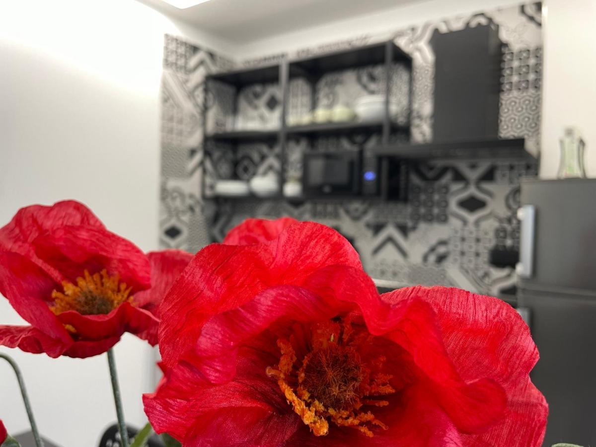 La Casa Di Brando - Bilocale 1 Ancona Apartment Камерано Екстериор снимка